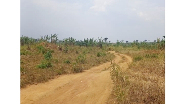 WhatsApp Image 2025-03-21 at 21.50.37 2.jpg